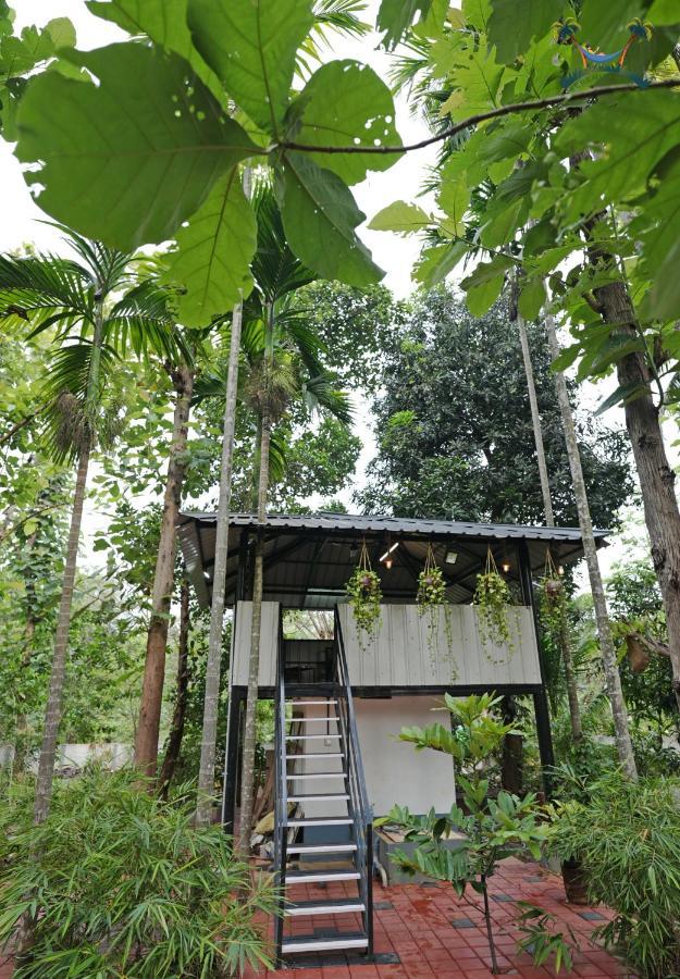 Serenity Villa And Treehouse Palakkad Ngoại thất bức ảnh