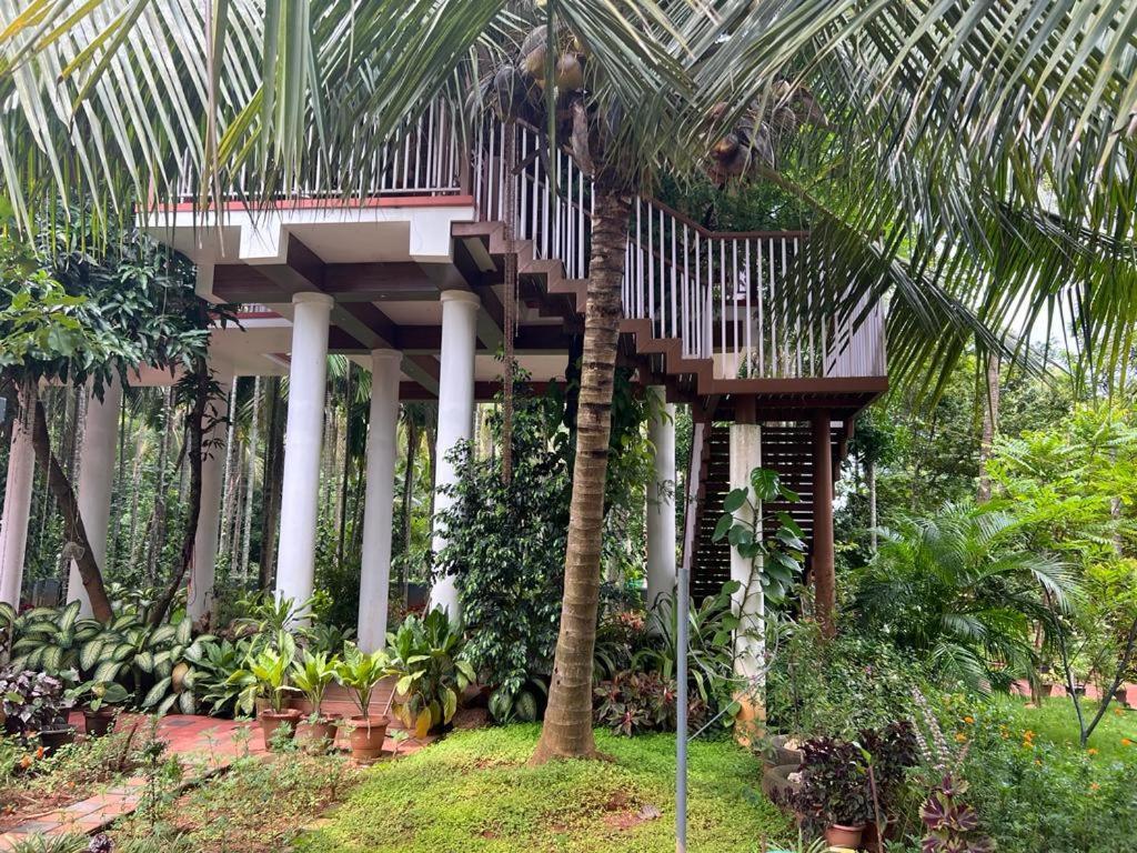 Serenity Villa And Treehouse Palakkad Ngoại thất bức ảnh