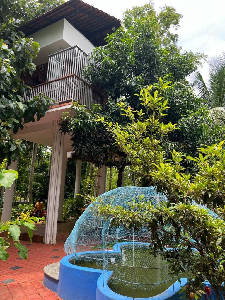 Serenity Villa And Treehouse Palakkad Ngoại thất bức ảnh